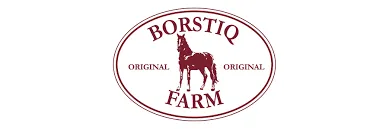 BORSTIQ